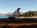 Lake Tekapo (3624)