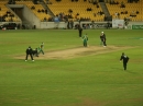 Crickett SA vs. NZ (3922)