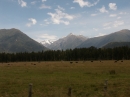 West Coast and Haast River (4408)