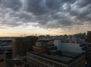 Sydney Evening (4761)