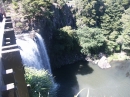 Whangarei Falls (4237)