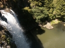 Whangarei Falls (4262)
