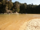 Abel Tasman National Park (4797)