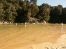 Abel Tasman National Park (4773)