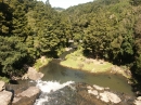 Whangarei Falls (4267)