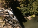 Whangarei Falls (4235)
