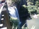 Whangarei Falls (4264)