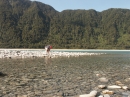 West Coast and Haast River (4349)