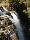 Whangarei Falls (4269)