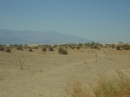 Death Valley National Park (5704)