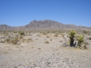 Death Valley National Park (7013)