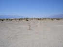 Death Valley National Park (7001)