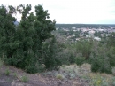 Flagstaff, Arizona (7144)