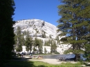 Yosemite National Park (7244)