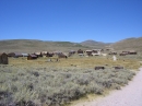 Bodie Ghost Town (7194)