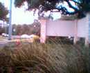 Jollyville Webcam (262874)