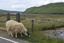 Isle of Skye (264570)