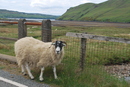 Isle of Skye (264663)