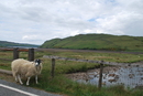 Isle of Skye (264632)