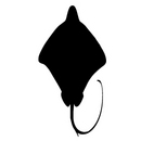 Blog Entry Uploads (269653)