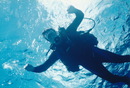 Cozumel Diving (270954)