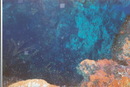 Cozumel Diving (271294)