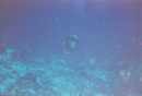 Cozumel Diving (270856)