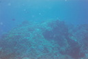Cozumel Diving (271042)