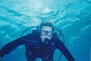 Cozumel Diving (271552)
