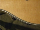 Gibson Closeups (8820)