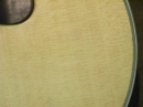 Gibson Closeups (8788)