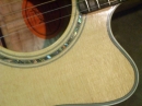 Gibson Closeups (8789)