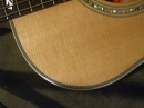Gibson Closeups (8805)