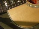 Gibson Closeups (8869)