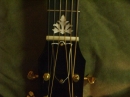 Gibson Closeups (8879)