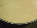 Gibson Closeups (8857)