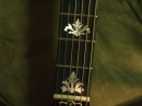 Gibson Closeups (8865)