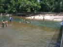 Barton Springs Crawfish (8021)