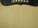 Gibson Closeups (8889)