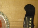 Gibson Closeups (8833)
