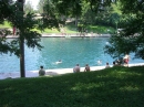 Barton Springs Crawfish (8018)