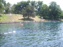 Barton Springs Crawfish (8029)