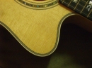 Gibson Closeups (8803)