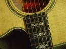 Gibson Closeups (8875)