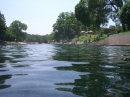 Barton Springs Crawfish (8024)