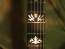 Gibson Closeups (8882)
