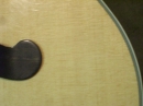 Gibson Closeups (8868)