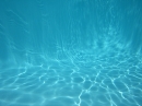 First Underwater Pics (8680)