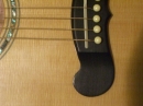 Gibson Closeups (8862)