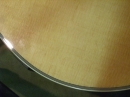 Gibson Closeups (8832)